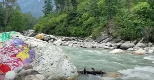 Hire Best tempo traveller for kasol