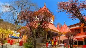 Naina Devi Temple Nainital tour