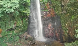 Tirthan Valley water fall by tempo traveller