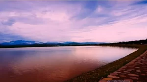 Sukhna Lake rain 1