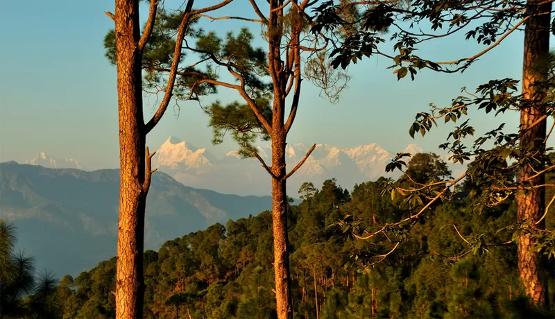 ranikhet 4987147