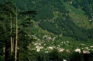 shimla manali by tempo traveller