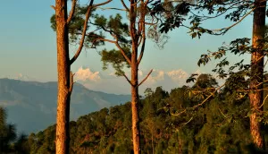 ranikhet by tempo traveller